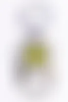 AustraliaPromoNow.Com