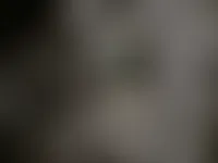 AustraliaPromoNow.Com