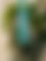 AustraliaPromoNow.Com