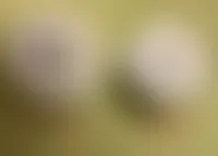 AustraliaPromoNow.Com
