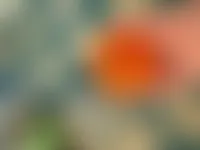 AustraliaPromoNow.Com
