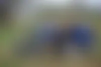 AustraliaPromoNow.Com