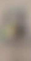 AustraliaPromoNow.Com - Roll Labels