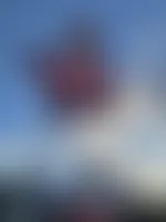 AustraliaPromoNow.Com - Rectangle Flag