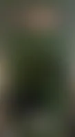 AustraliaPromoNow.Com
