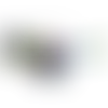 Solid Rainbow