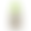 Lime Green - Australia Promo Now