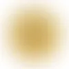 Gold - Australia Promo Now