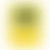 YELLOW - Australia Promo Now