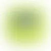 Lime Green - Australia Promo Now