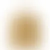 Yellowish Brown - Australia Promo Now