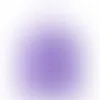 Lavender Purple - Australia Promo Now
