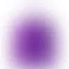 Roland Purple - Australia Promo Now