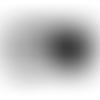 Cat Eyed Webcam Cover - Australia Promo Now