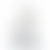 Flame Crystal Trophy - Australia Promo Now