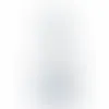 Flame Crystal Trophy - Australia Promo Now