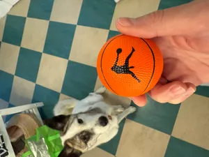 AustraliaPromoNow.Com