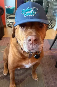 AustraliaPromoNow.Com - Full Color TPU