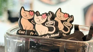 AustraliaPromoNow.Com