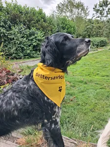 AustraliaPromoNow.Com - Cotton Bandanas