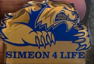 AustraliaPromoNow.Com - Acrylic Lapel Pin