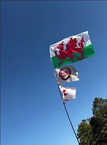 AustraliaPromoNow.Com - Rectangle Flag