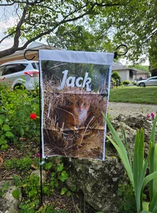 AustraliaPromoNow.Com - Garden Flag