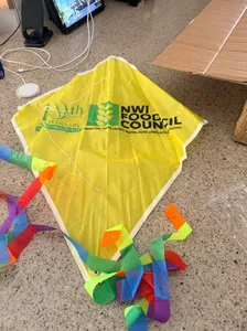 AustraliaPromoNow.Com - Diamond Kites