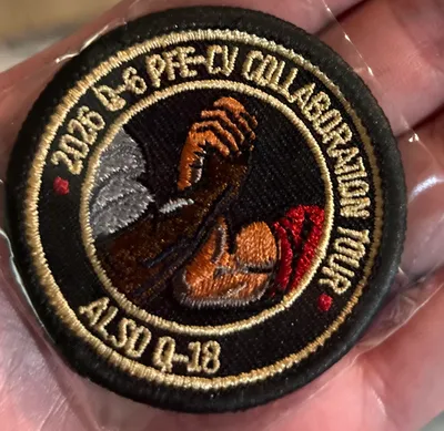Embroidered Patches - I made these patches to commemorate some tours we did for our interns they came out great