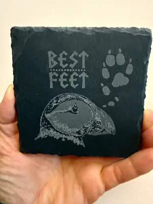 Stone Coasters - This coaster set will be presented at the Norwegian Lundehund Specialty The rare breed is the only dog in the world with polydactyly on all 4 feet