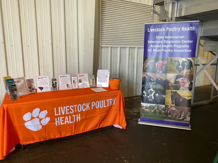 AustraliaPromoNow.Com