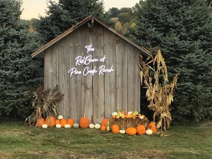 AustraliaPromoNow.Com