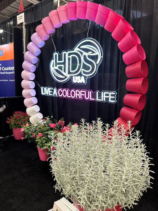 AustraliaPromoNow.Com