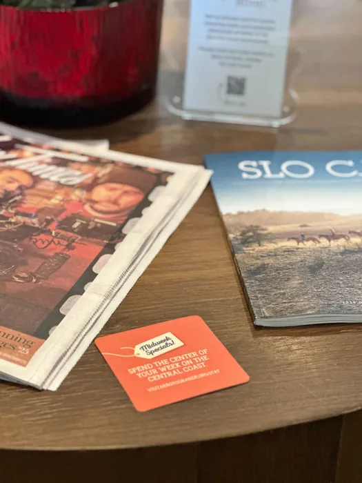 AustraliaPromoNow.Com - Super Absorbent Bar Coaster