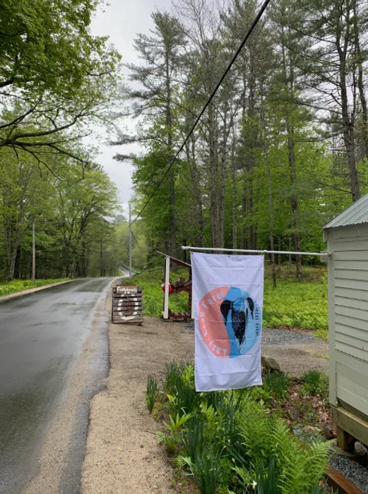 AustraliaPromoNow.Com - Rectangle Flag