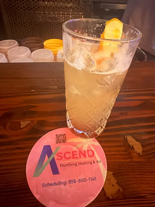 AustraliaPromoNow.Com - Super Absorbent Bar Coaster