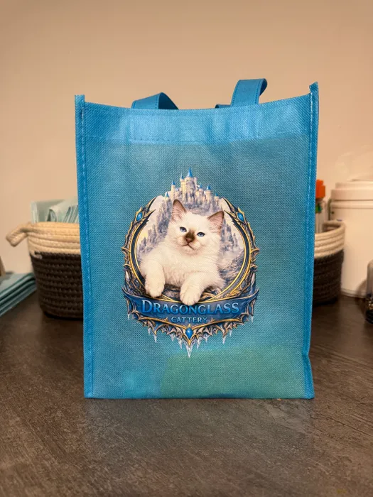 AustraliaPromoNow.Com - Custom Small Gift Tote Bag