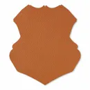 Shape 34 Shape 34 - Australia Promo Now