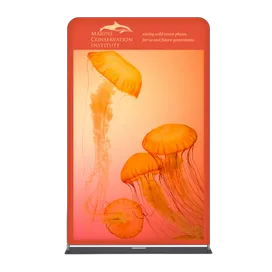 EZ Extend Displays - Australia Promo Now