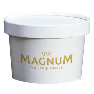 Ice Cream Container - Australia Promo Now