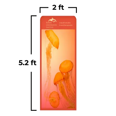 2 x 5.2 ft 2 x 5.2 ft - Australia Promo Now