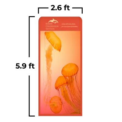 2.6 x 5.9 ft 2.6 x 5.9 ft - Australia Promo Now