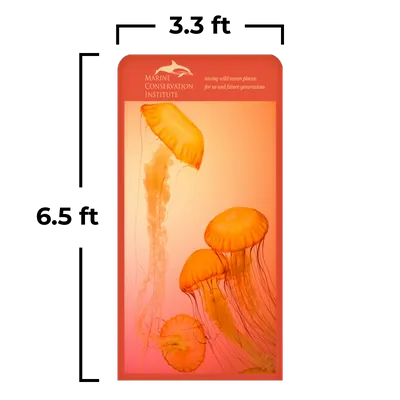 3.3 x 6.5 ft 3.3 x 6.5 ft - Australia Promo Now
