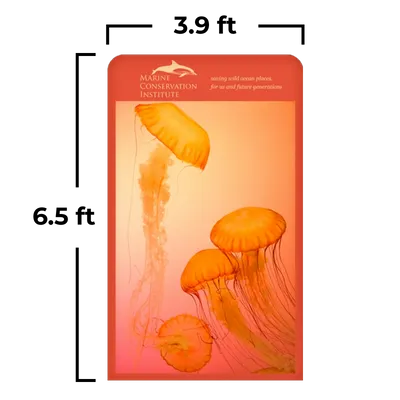 3.9 x 6.5 ft 3.9 x 6.5 ft - Australia Promo Now