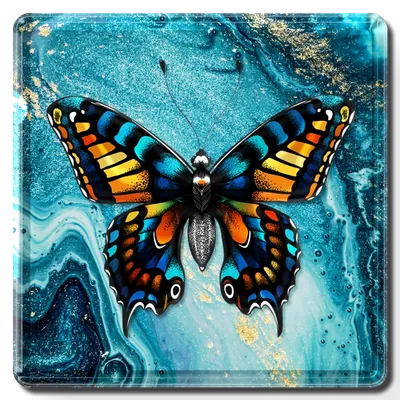 Square - Australia Promo Now