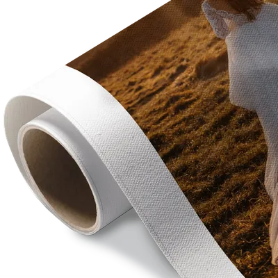 Rolled Canvas Rolled Canvas - Australia Promo Now