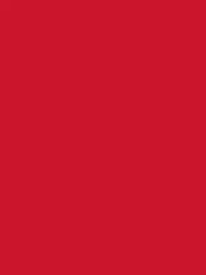 PMS 186 PMS 186 - Australia Promo Now