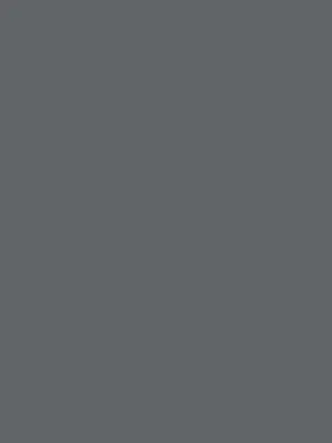 Cool Gray 10 Cool Gray 10 - Australia Promo Now