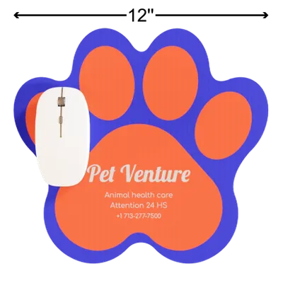 Custom 12" - Australia Promo Now