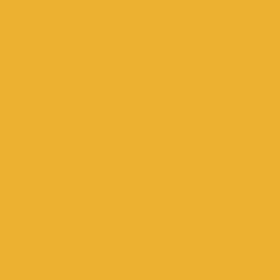 Orange - Australia Promo Now